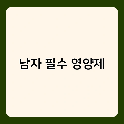 남자 필수 영양제 1