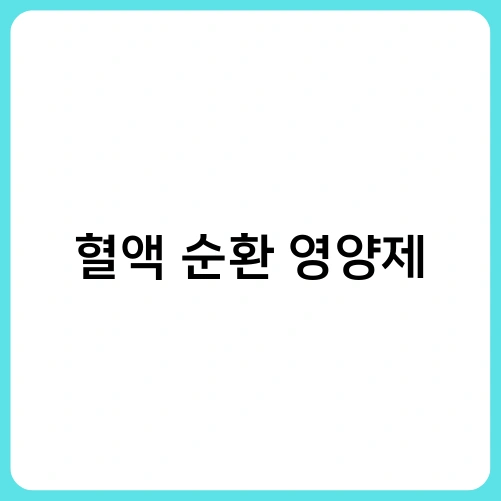 혈액 순환 영양제 3