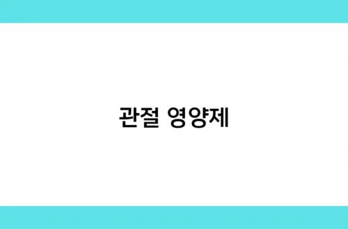 관절 영양제 썸네일