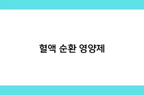 혈액 순환 영양제 썸네일