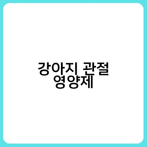 강아지 관절 영양제 1