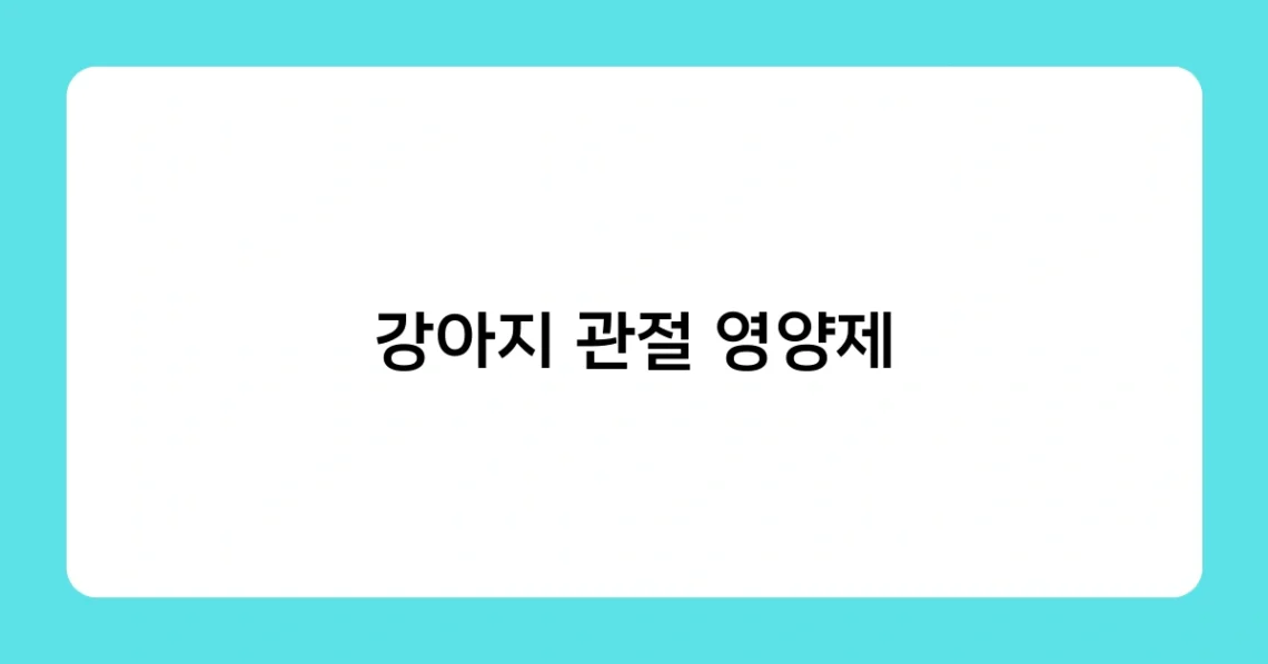 강아지 관절 영양제 썸네일