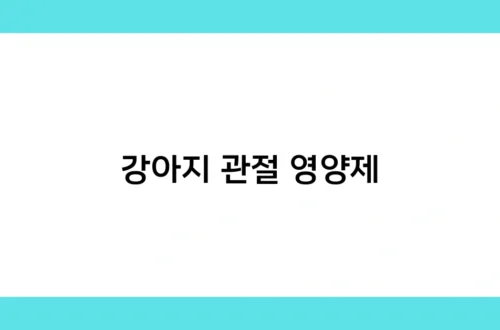강아지 관절 영양제 썸네일