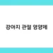 강아지 관절 영양제 썸네일