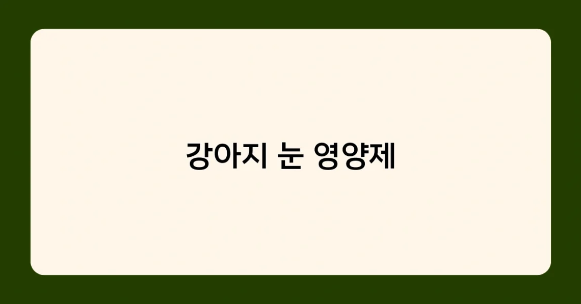 강아지 눈 영양제 썸네일