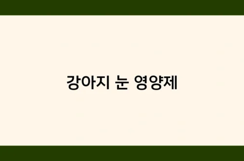 강아지 눈 영양제 썸네일