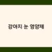 강아지 눈 영양제 썸네일