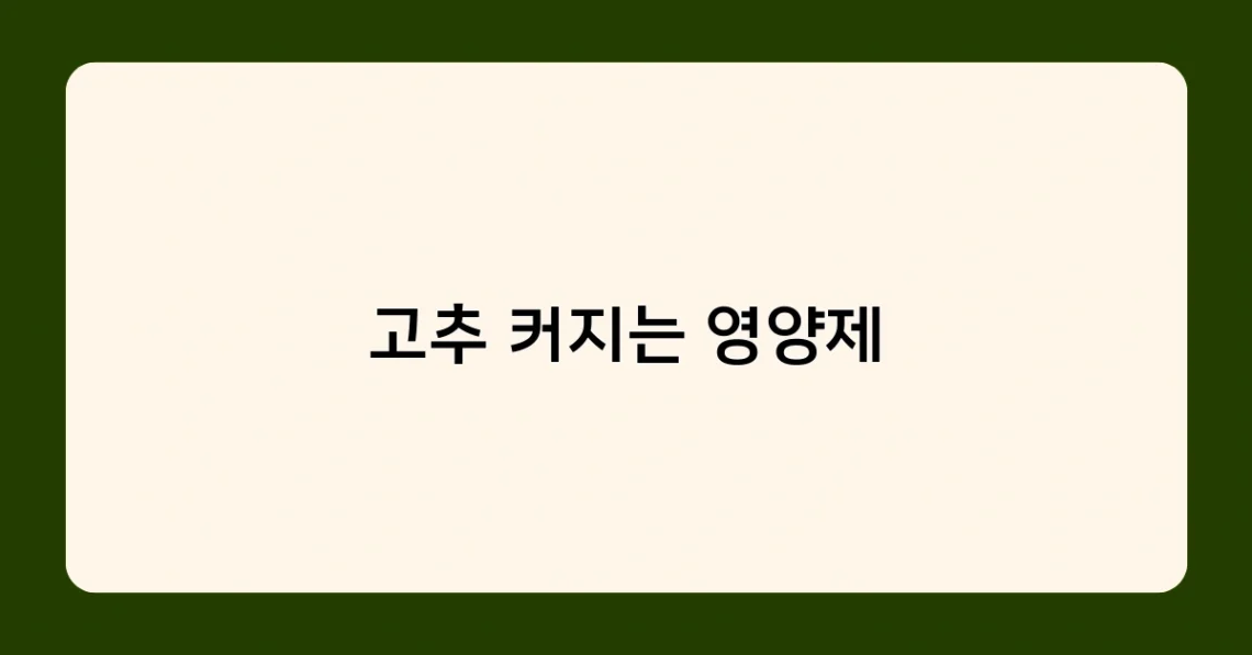 고추 커지는 영양제 썸네일