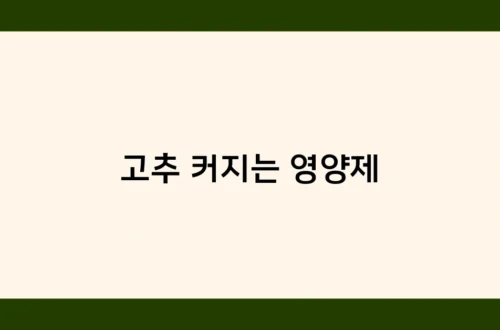 고추 커지는 영양제 썸네일