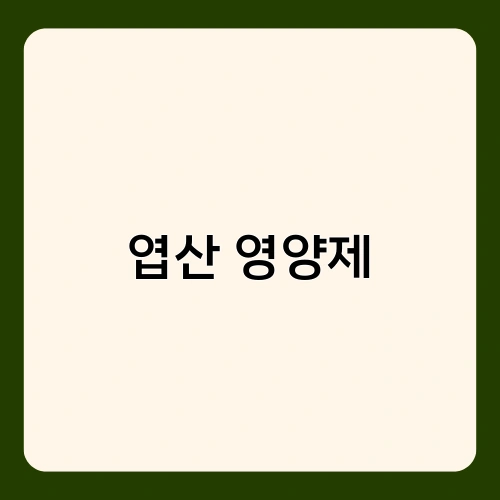 엽산 영양제