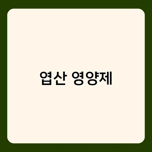엽산 영양제 1