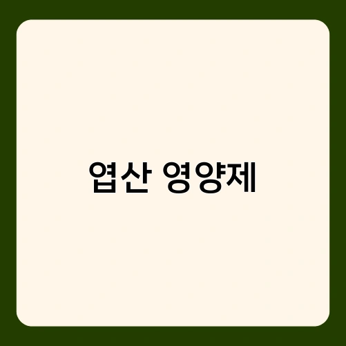 엽산 영양제 2