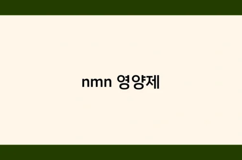 nmn 영양제 썸네일