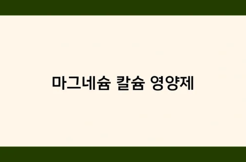 마그네슘 칼슘 영양제 썸네일