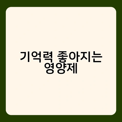 기억력 좋아지는 영양제 3