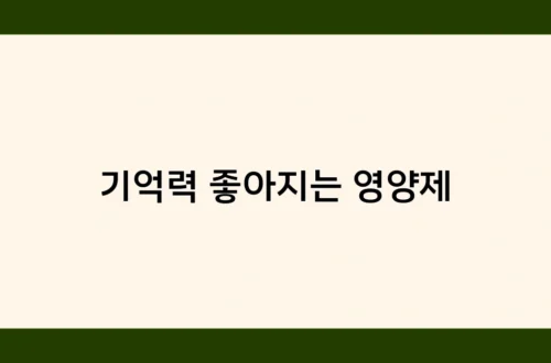 기억력 좋아지는 영양제 썸네일