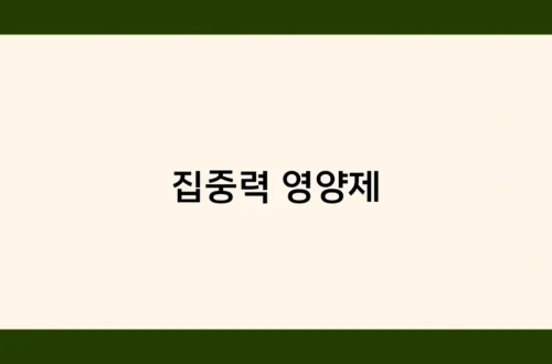 집중력 영양제 썸네일
