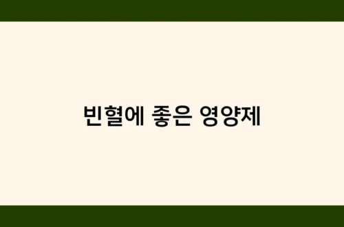 빈혈에 좋은 영양제 썸네일