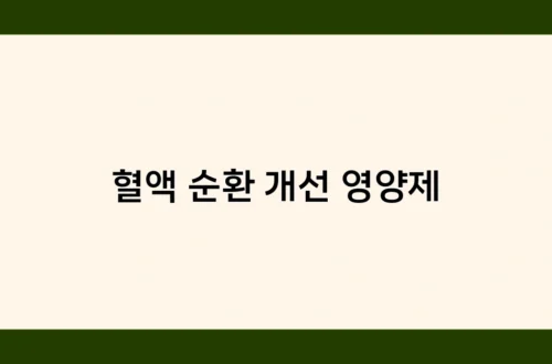 혈액 순환 개선 영양제 썸네일