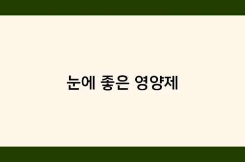 눈에 좋은 영양제 썸네일