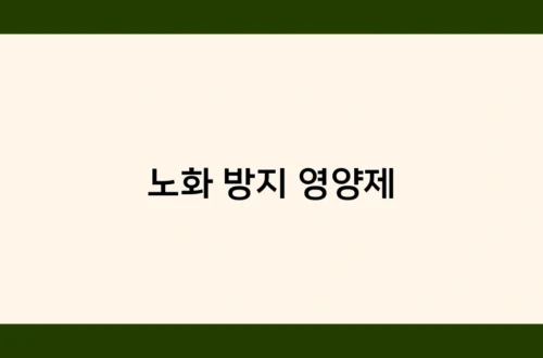 노화 방지 영양제 썸네일