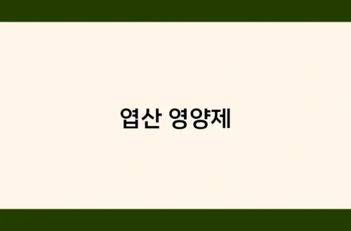 엽산 영양제 썸네일